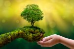 MSCI Says ESG Indexes Could Eventually Outsize Traditional Indexes