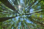 Recent Data Shows ESG Investing Will Be Here to Stay
