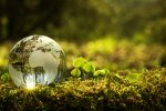 Why Investors Should Consider Sustainable ETF Strategies