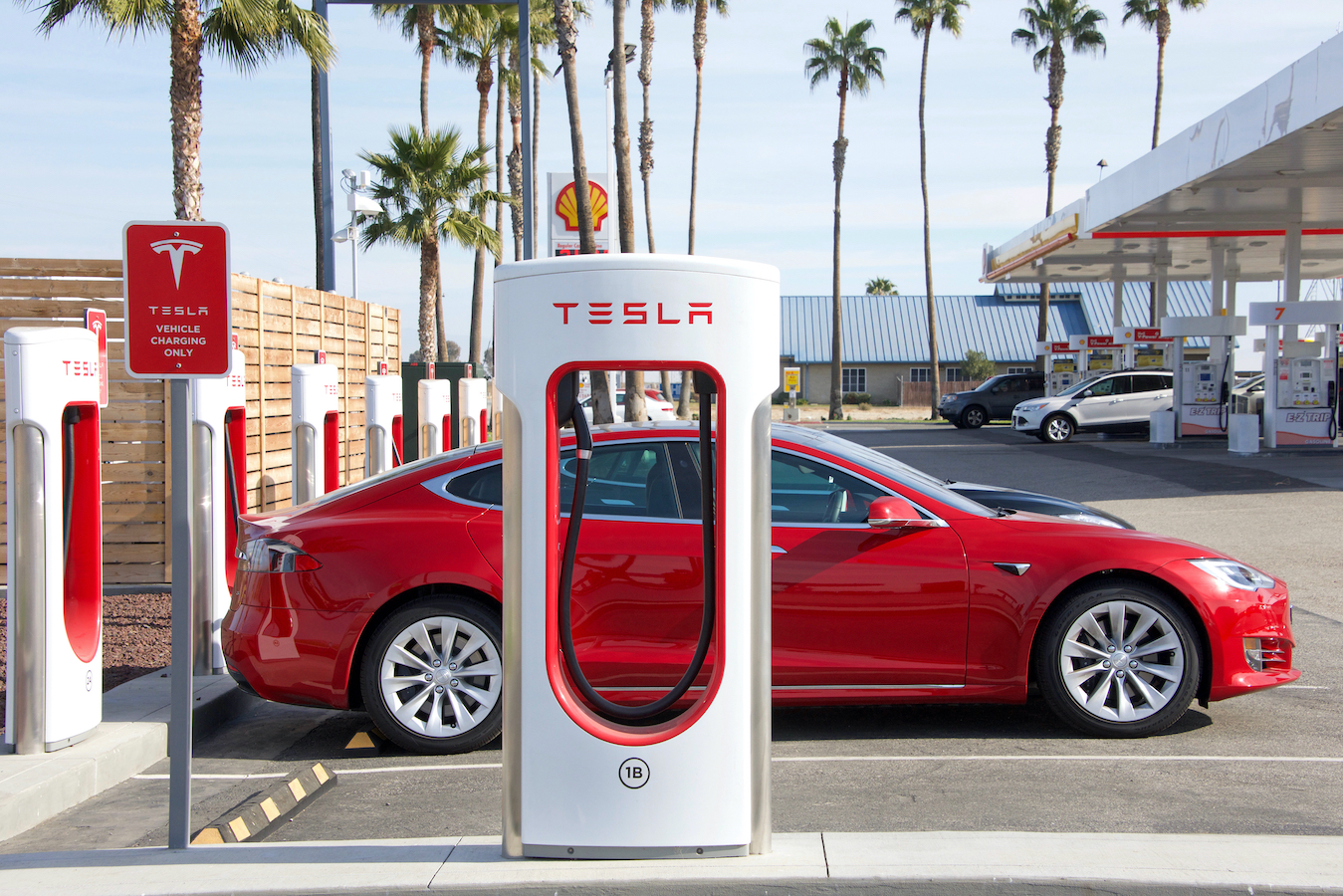 Tesla Continues To Be Losing Option According To This Famous Investor