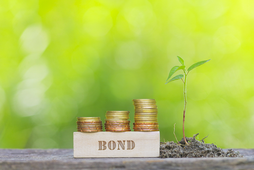 There’s Enthusiasm for These Green Bonds