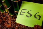 Covid-19 Pandemic Brought Record Inflows for ESG