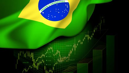 Harnessing Growth Trend Acceleration in Brazil’s Digitization Leaders