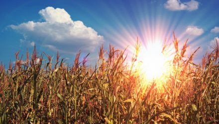 Learning to Love Leverage Loans in a Low-Yield Environment