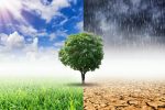 Vanguard, BlackRock Offer New ETFs Focused on Climate Change