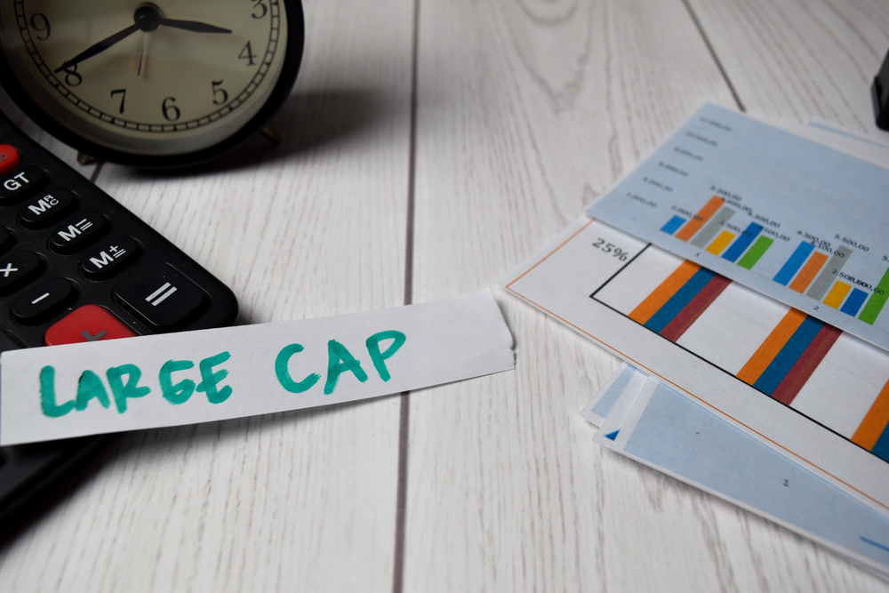 Are Large Cap Stocks Expensive? Lessons from Price Matters®