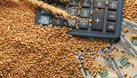 Agriculture ETFs Rallying on Favorable Fundamentals