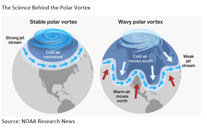 Science Behind Polar Vertex
