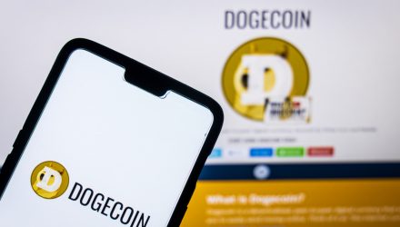 What to Make of the Dogecoin Mania