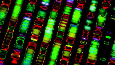 Accelerating Gene Therapies? There's an ETF for That