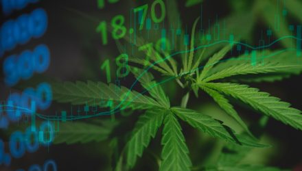 ETF Managers Group Launches Fourth Cannabis ETF
