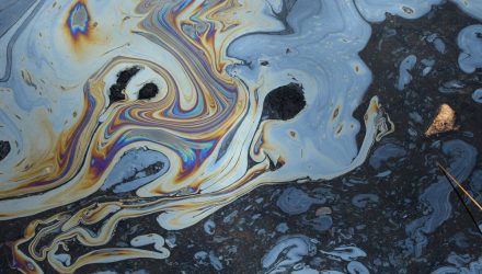 Oil Spill off California Coast Has Catastrophic Consequences