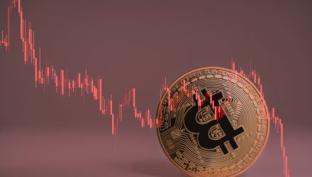 Could There Be a Bitcoin Crash Next Year