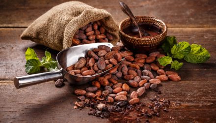 Cocoa Futures Soar Following Unseasonably Dry Weather