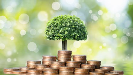 Study Shows Women More Likely to Invest in ESG Within 401(k) Than Men