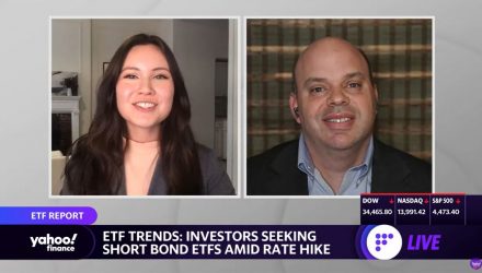 Yahoo Finance Todd Rosenbluth Discusses More ETFs To Watch