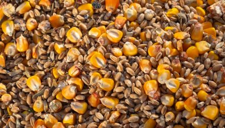 Corn, Wheat ETFs Advance on Growing Supply Concerns