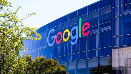 Google’s Sustainability Practices Deep Roots and Strong Shoots