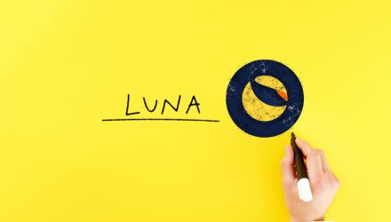 Crypto Ready to Rise From the LUNA Ashes