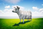 A Cash Cows ETF Strategy Could Enhance Your Portfolio’s Core