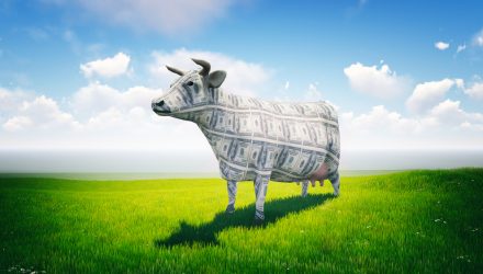 A Cash Cows ETF Strategy Could Enhance Your Portfolio's Core