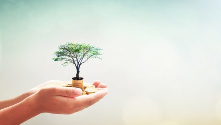 Investment Managers Still Enthusiastic About ESG