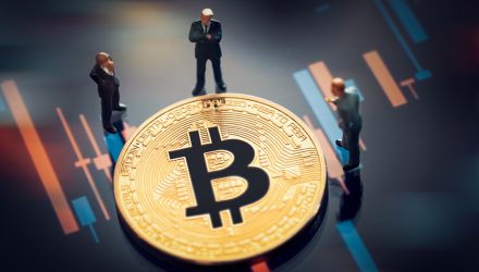 Technical Charts Show Bitcoin Poised for Another Rally