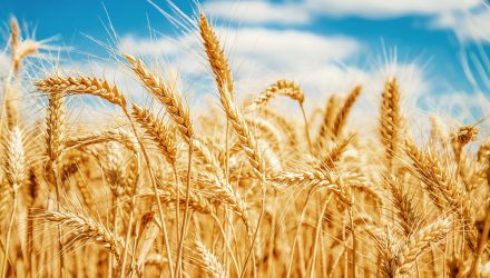 Lebanon's Economic Crisis Applies Pressure to Wheat Prices