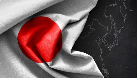 Look to Japan for Shareholder Rewards