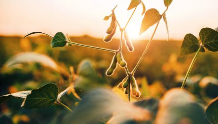 Higher Seasonal Soybean Demand Could Bolster This ETF