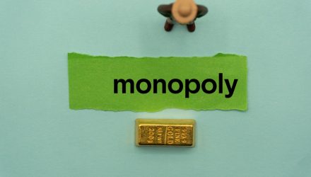 Wide Moat Natural Monopoly Traits Advantageous for Investors