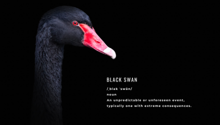 2022: The Year Of The Black Swan In Crypto