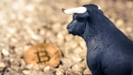 CEO Says Large Scale Country Adoption Could Trigger Next Bitcoin Bull Run