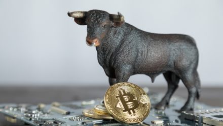 Some Big Buyers Still Bullish on Bitcoin