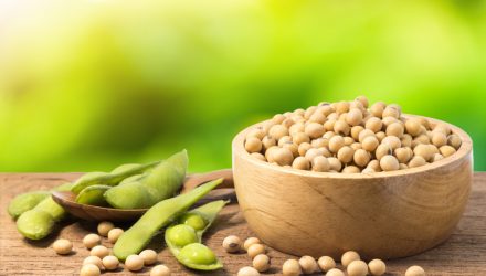 Soybean Prices in 2023 Could Hinge On Brazil