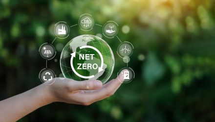 Transitioning to Net Zero What Investors Need to Know