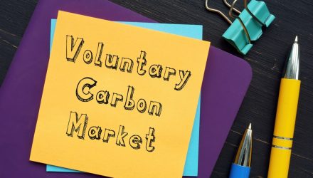 Luke Oliver: The Perplexity Problem of Voluntary Carbon Markets