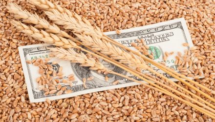 Absorb the Shock of Market Volatility With Agricultural Commodities