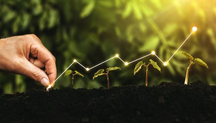 How to Find Growth Without Mega-Cap Tech