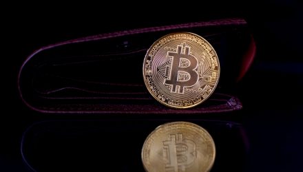 VanEck’s DaCruz: Interest in Bitcoin ETFs 'Only Going to Spike'