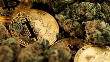 Top Performing ETFs: Cannabis and Crypto Funds