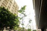 There May Not Be Any June Gloom in the Retail Sector