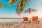 3 Trades to Consider Amid Early Summer Rally