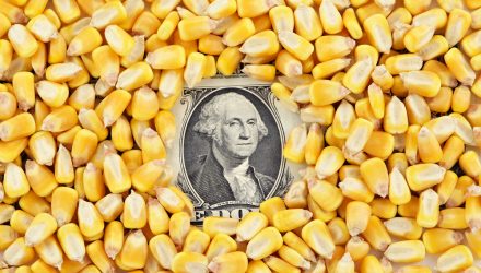 Corn Prices Driven by Brazilian Surplus and U.S. Drought