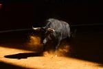 Easing Deflation Could Give China Bulls Some Hope