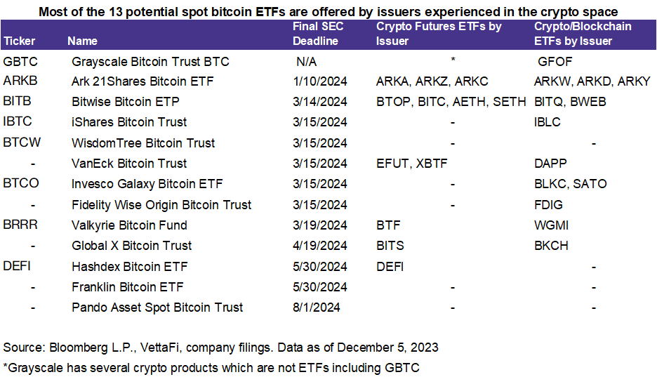 Potential Spot Bitcoin ETFs