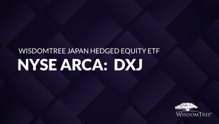 WisdomTree Japan Hedged Equity ETF (DXJ)