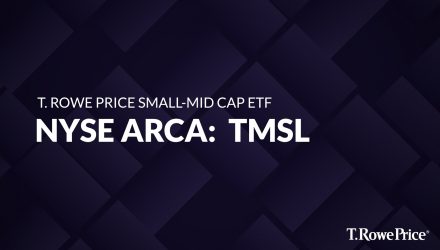 T. Rowe Price Small-Mid Cap ETF (TMSL)