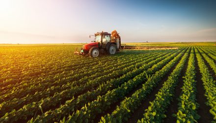 Long-Term Expectations for Ag Commodities Remain Positive