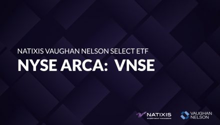 Natixis Vaughan Nelson Select ETF (VNSE)